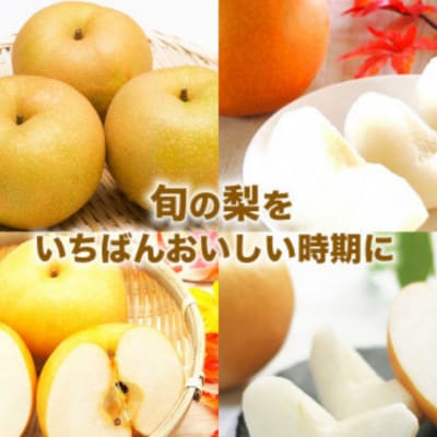 【さとふる限定】数量限定 秋のフルーツおすすめ!熊本県産 旬の梨(豊水・秋月・新高)約4kg