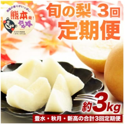 【発送月固定定期便】旬の梨 約3kg(計9kg) 豊水・秋月・新高(荒尾市)全3回