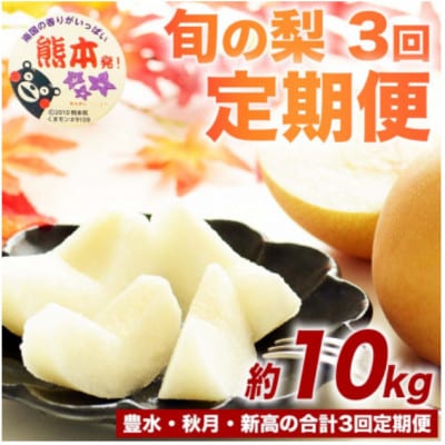 【発送月固定定期便】旬の梨 約10kg(計30kg) 豊水・秋月・新高(荒尾市)全3回