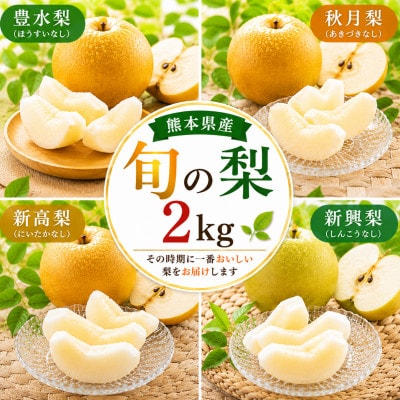 旬の梨 約2kg(荒尾市)