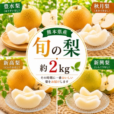 旬の梨 約2kg(荒尾市)