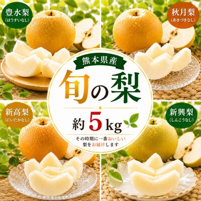 旬の梨 約5kg(荒尾市)