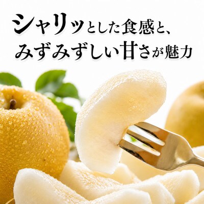 旬の梨 約5kg(荒尾市)