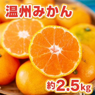 温州みかん約2.5kg(荒尾市)