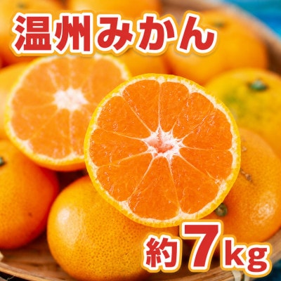 温州みかん約7kg(荒尾市)