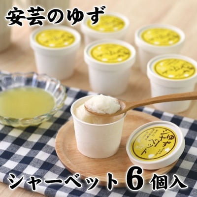 松崎冷菓の安芸ゆずシャーベット6個セット