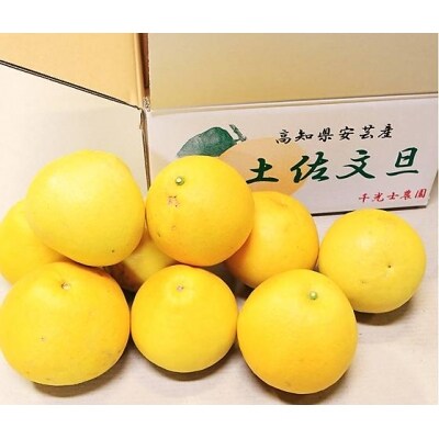 千光士農園の土佐文旦 10kg(ご家庭用スレキズあり)