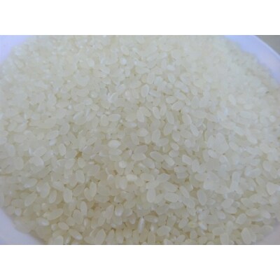 《令和4年産新米》新嘗祭皇室献上米農家が作った「コシヒカリ」5kg(白米)