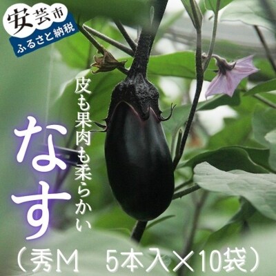 高知県安芸市産ナス(秀M 5本入 10袋)