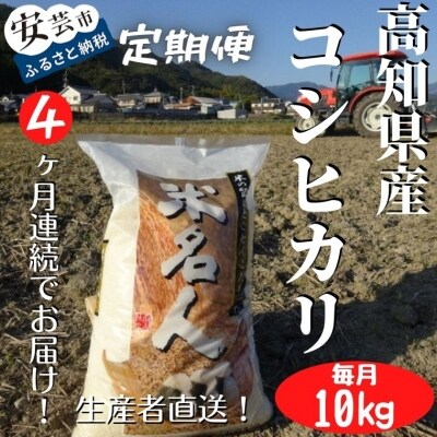 《令和4年産》4ヵ月連続でお届け!「コシヒカリ(白米)」定期便　10kg×4回