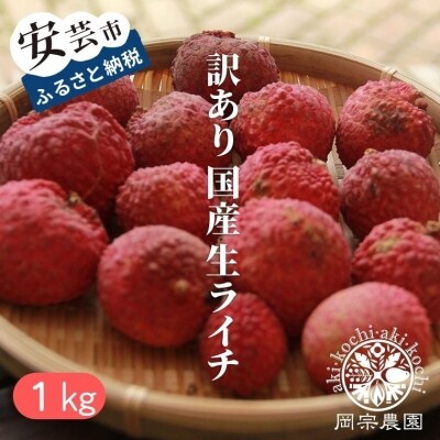 訳あり国産生ライチ 1kg 25 40玉程度 お礼品詳細 ふるさと納税なら さとふる