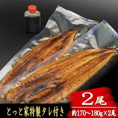 厳選!!高知県産うなぎ(2尾)