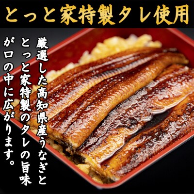 厳選!!高知県産うなぎ(2尾)