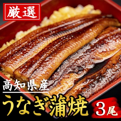 厳選!!高知県産うなぎ(3尾)
