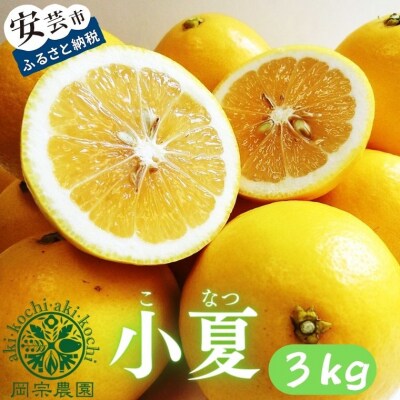 メリーガーデンの小夏 3kg