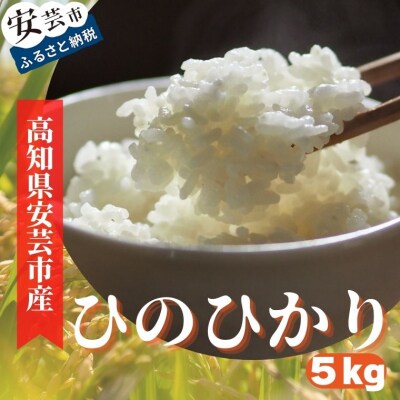 《令和4年産》安芸の豊かな自然の恵みを頂いて育ったお米「ひのひかり」5kg