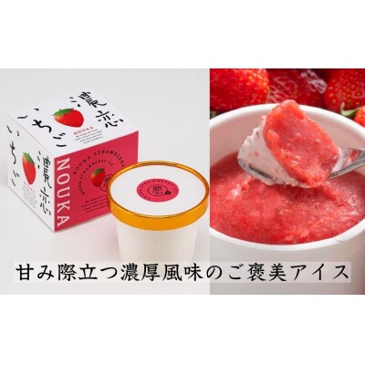 甘み際立つ濃厚風味のご褒美アイス NOUKAの濃恋いちご 6個セット