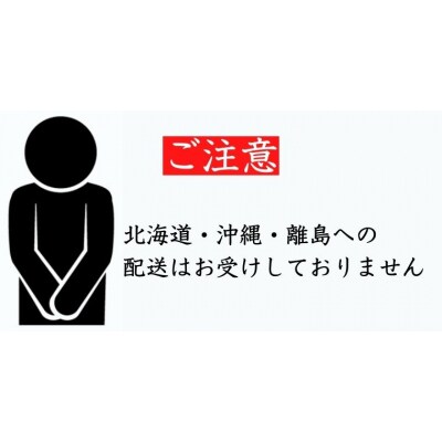 甘み際立つ濃厚風味のご褒美アイス NOUKAの濃恋いちご 6個セット
