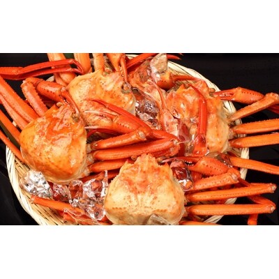 男鹿沖産紅ズワイガニ600g前後 4匹 男鹿なび 5605 0280 お礼品詳細 ふるさと納税なら さとふる