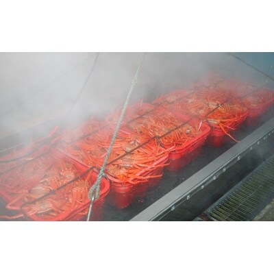 男鹿沖産紅ズワイガニ600g前後 4匹 男鹿なび 5605 0280 お礼品詳細 ふるさと納税なら さとふる