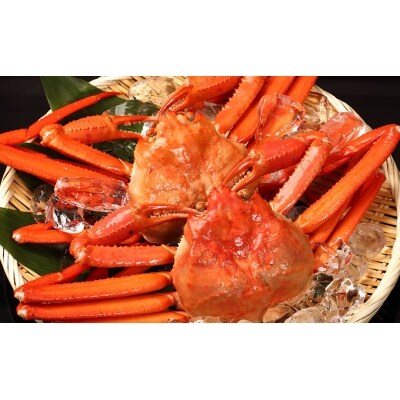 男鹿沖産紅ズワイガニ600g前後 4匹 男鹿なび 5605 0280 お礼品詳細 ふるさと納税なら さとふる