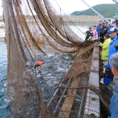 北海道とまりカブトサーモン　スライス200g(10g×20切)×2パック