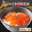 北海道とまり産　いくら醤油漬け　250g×2パック