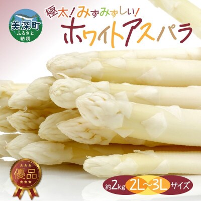【2026年先行予約】北海道産 旬の朝採れ ホワイトアスパラ 約2kg (2L～3L) 優品