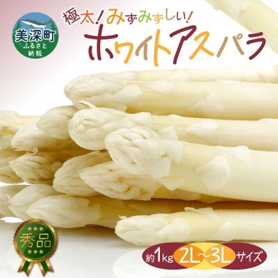 【2026年先行予約】北海道産 旬の朝採れ ホワイトアスパラ 約1kg (2L～3L) 秀品