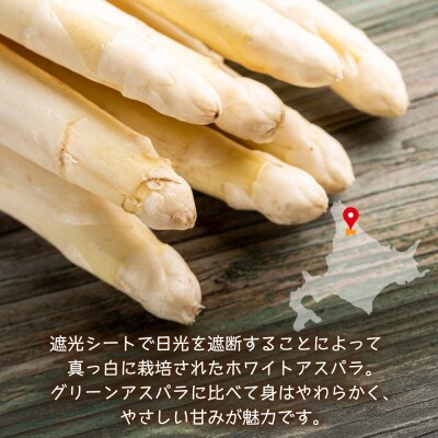 【2026年先行予約】北海道産 旬の朝採れ ホワイトアスパラ 約1kg (2L～3L) 秀品