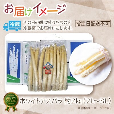 【2026年先行予約】北海道産 旬の朝採れ ホワイトアスパラ 約2kg (2L～3L) 秀品