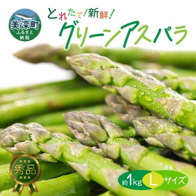 【2026年先行予約】北海道産 旬の朝採れ グリーンアスパラ 約1kg (L) 秀品