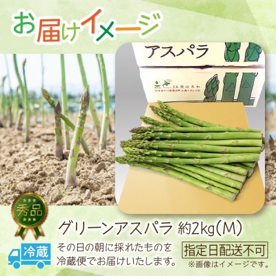 【2026年先行予約】北海道産 旬の朝採れグリーンアスパラ 約2kg (M) 秀品