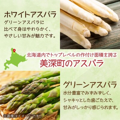 【2026年先行予約】北海道産 旬の朝採れ アスパラセット ホワイト グリーン 各500g 計1kg