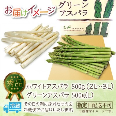 【2026年先行予約】北海道産 旬の朝採れ アスパラセット ホワイト グリーン 各500g 計1kg