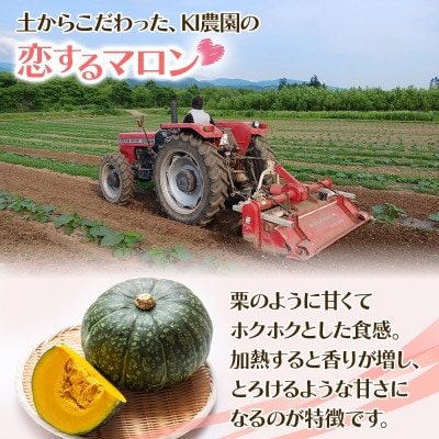 冷凍 カットかぼちゃ 「恋するマロン」 4kg 500g×8袋 小分けで便利 北海道産