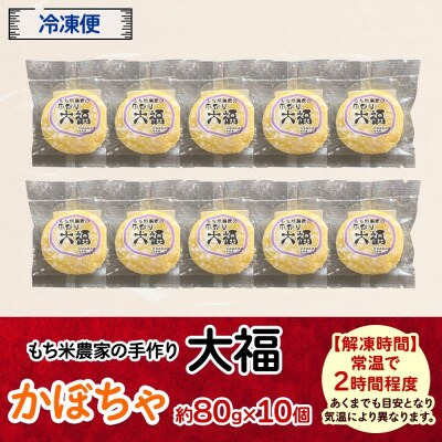 もち米農家の大福 かぼちゃ 10個