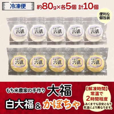 もち米農家の大福 2種 (白大福・かぼちゃ) 計10個セット