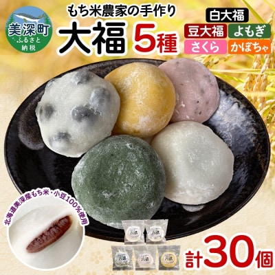 もち米農家の大福 5種 計30個セット (白大福・豆・よもぎ・さくら・かぼちゃ)