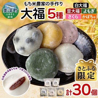 【さとふる限定】もち米農家の大福 5種 計30個セット (白大福・豆・よもぎ・さくら・かぼちゃ)