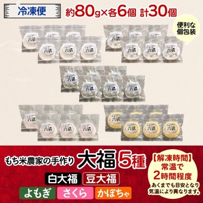 もち米農家の大福 5種 計30個セット (白大福・豆・よもぎ・さくら・かぼちゃ)