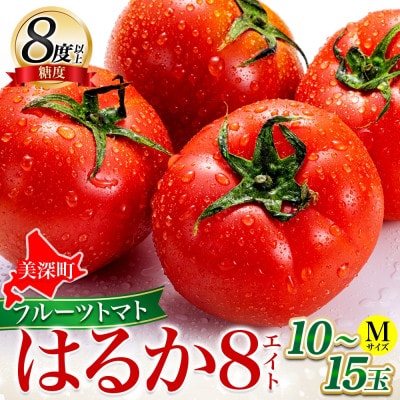 北海道産 糖度8度以上 フルーツトマト はるか8(エイト)約1kg 10玉～15玉 2027年発送
