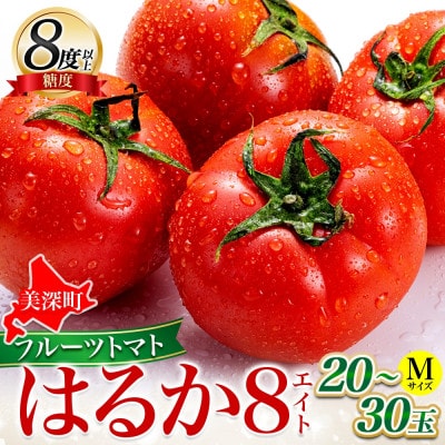 北海道産 糖度8度以上 フルーツトマト はるか8(エイト)約2kg(20玉～30玉)2027年発送