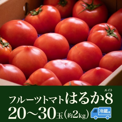 北海道産 糖度8度以上 フルーツトマト はるか8(エイト)約2kg(20玉～30玉)2027年発送