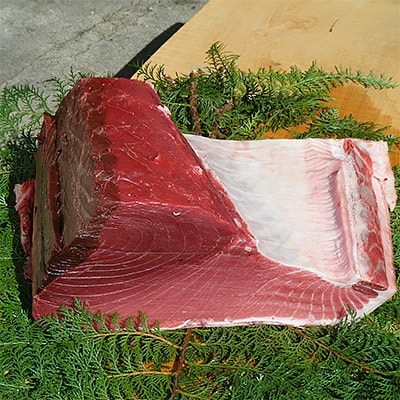 【伊根まぐろ】　中トロ(約250g)