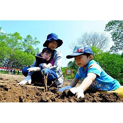 ロサ ルゴサ バーソープ 洗顔石鹸 100g 1個 お礼品詳細 ふるさと納税なら さとふる ロサ ルゴサ バーソープ 洗顔石鹸 100g 1個 お礼品詳細 ふるさと納税なら さとふる