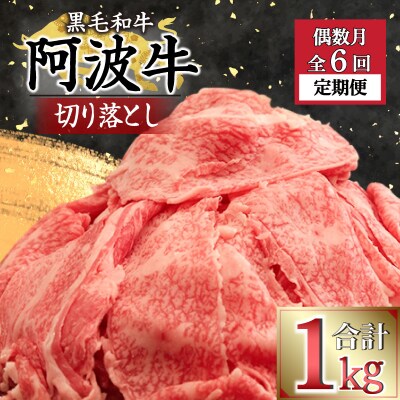 定期便 偶数月 6回 牛肉 切り落とし 1kg × 6ヵ月 ロース モモ カタ 