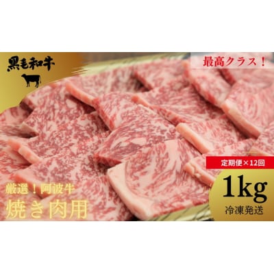 [定期便 全12回]黒毛和牛最高クラス!厳選した阿波牛◆焼き肉用1kg×12回/冷凍発送◆ 焼肉