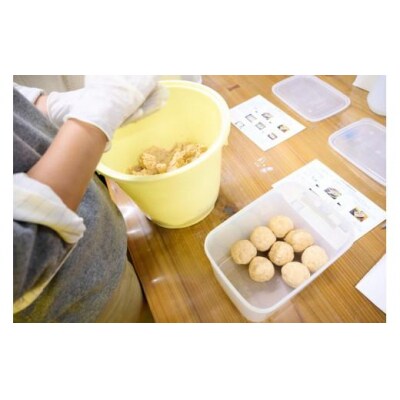 味噌作り体験 持ち帰り 2kg お土産 軽食 付き 醤油 醸造場 調味料 手作り 徳島県 2キロ
