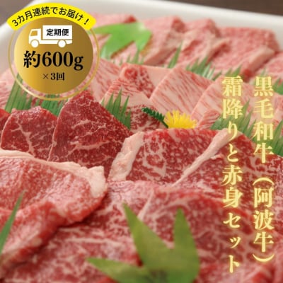 【定期便】3か月連続でお届け! 特選 黒毛和牛 (阿波牛)霜降りと赤身セット約600g＜計1.8k＞